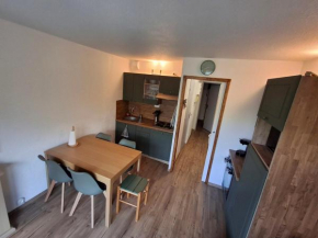 Studio cabine cosy, proche commerces et pistes,dans Flaine Forêt - FR-1-687-116